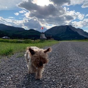 Meet your Posher, Emma